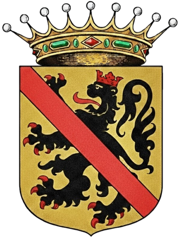 Blason aux 9 perles - Comte de Namur
